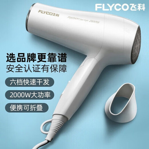 Séchante de cheveux Flyco Home High Power Hair Dryer Voyage Portable Hair Dryer Drive Hot and Cold Air Barber Pliage Fh6232 FH6232 White [2000W pliable]