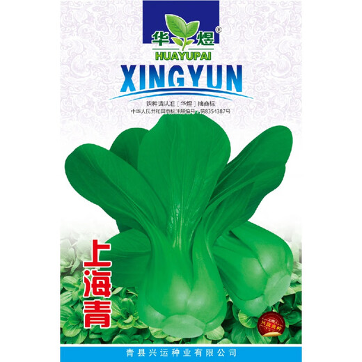 Qiuying short-legged Suzhou green vegetable seedlings all seasons Shanghai green rice seedlings Wuta small green vegetable seedlings balcony field vegetables Shanghai green 1 pack