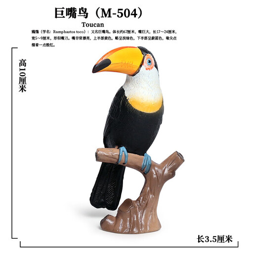 梓嘉福仿真动物模型玩具飞禽鹦鹉老鹰鸵鸟孔雀火烈鸟鸽子翠鸟小摆件 Ox-1421食火鸟