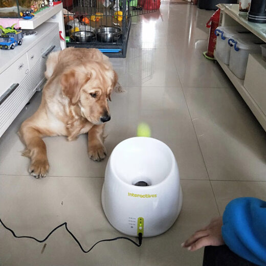 allforpaws pet toy tennis machine dog ball machine toy tennis launcher automatic ball throwing machine