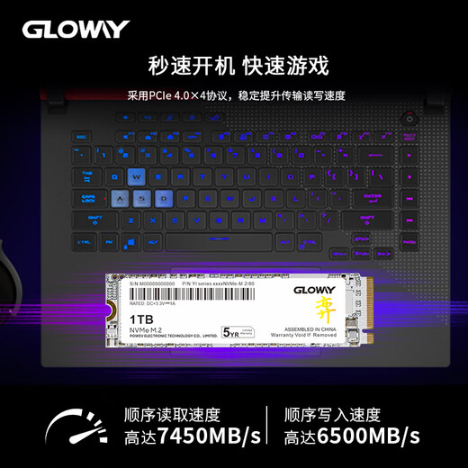 光威（Gloway）1TB SSD固态硬盘 M.2接口(NVMe协议) PCIe 4.0x4  7450MB/s 长江存储TLC颗粒 弈系列 
