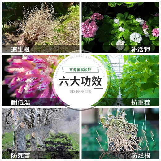 Fuente mineral de ácido fúlvico de potasio, fertilizante soluble en agua para hortalizas y árboles frutales, fertilización, mejora del suelo, resistencia a cultivos intensos, fertilizante medicinal para flores, frutas y verduras, 1000 g, 2 paquetes