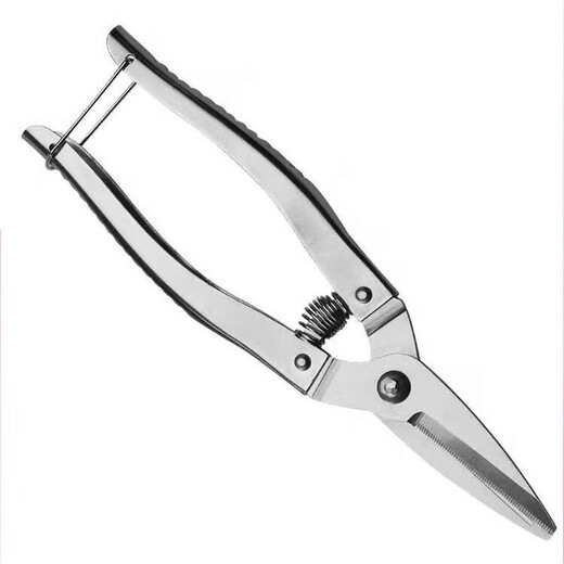 Mo Shenggu stainless steel gardening pruning shears, fruit picking shears, grape and orange picking tools, garden fruit tree scissors, spring shears, small fruit shears