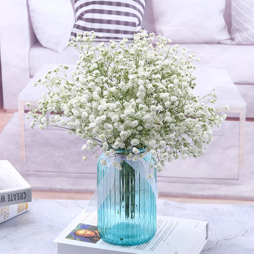 AIMAN dried gypsophila bouquet for home decoration, living room and bedroom decoration, flower arrangement, eternal freshness, birthday gift with vase, white gypsophila + glass bottle, dried flower bag