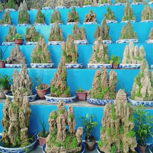 Medium and large water-absorbing stones, natural rockery basins, stone micro-landscapes, fish tank landscaping, black 6109