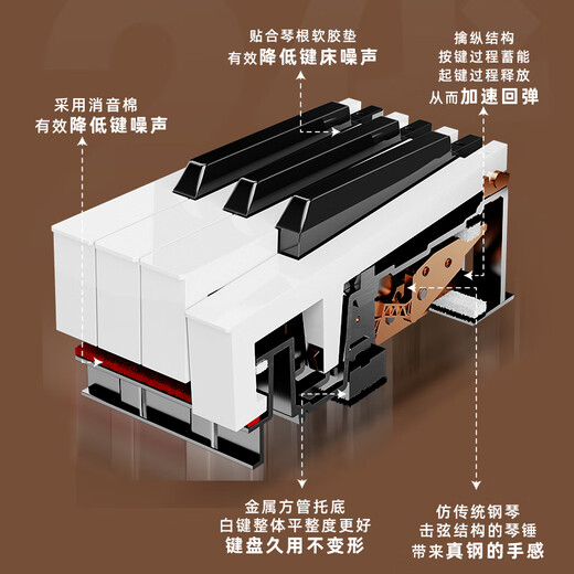 贝琪（Betsy）B365电钢琴重锤88键初学者入门成人专业学习抽屉式电子钢琴 B365重锤键-木纹白 高配（琴+学琴礼包+双人琴凳）