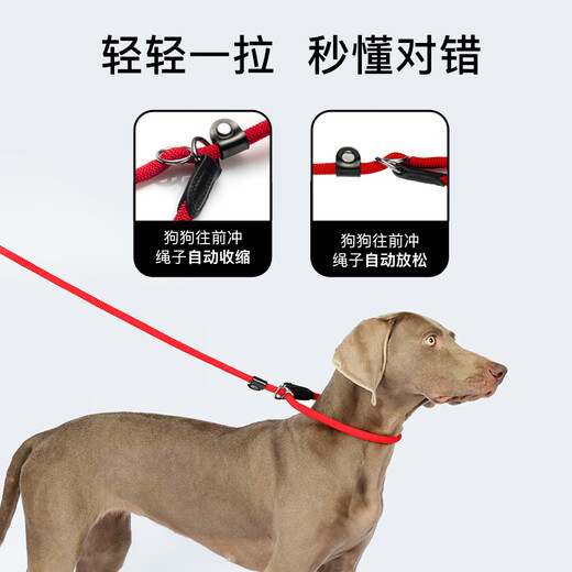 HUNTER imported from Germany, medium and large dog leash, thick explosion-proof dog rope, P rope, P chain dog chain, integrated dog training rope, off-white, 180cm long, 1.0cm in diameter (medium and large dogs)