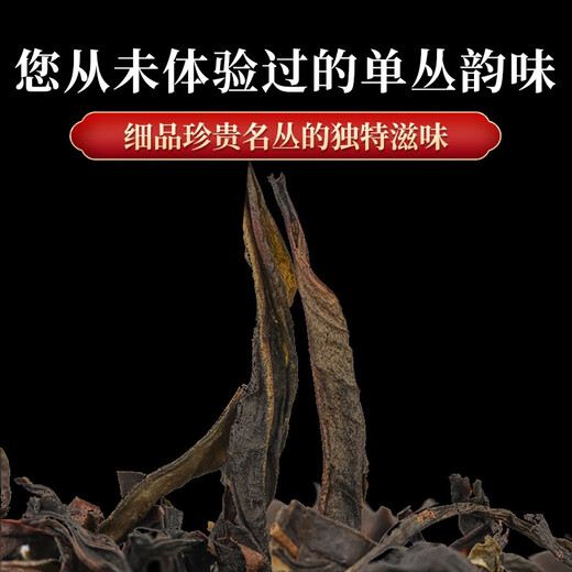Shanlihuo (Shanlihuo) Huangzhixiang Tancong Tee Chaozhou alter Flair High Mountain Oolong Tee Wuluancong Tee Geschenkbox Selbst trinkende Geschenk Zhengchun Tancong Tea 500g