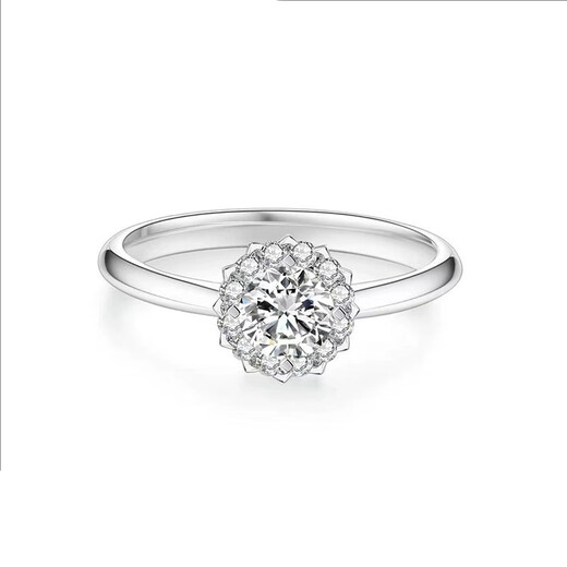 AVHE white platinum and platinum diamond ring for women, bouquet full of diamonds, artificial laboratory-grown diamonds, asking for a wedding gift for Chinese Valentine's Day, platinum rose full of diamonds - main stone 1 carat, ring size 9-20 optional