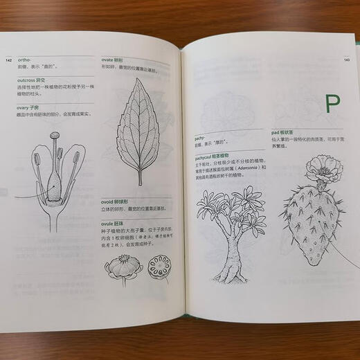 植物学家的词汇手册:图解1300条园艺常用植物学术语苏珊·佩尔大学出版社有限公司9787301310