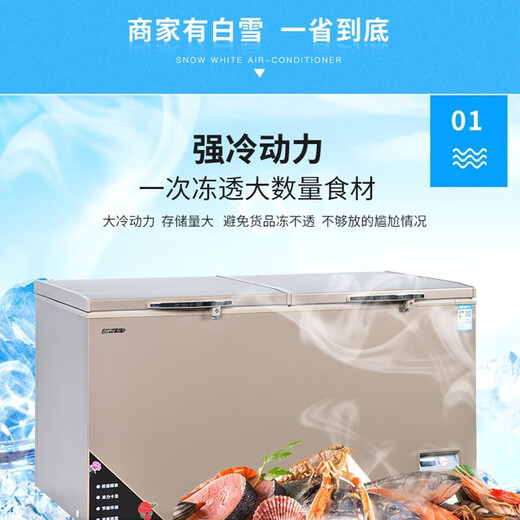 白雪金色冰柜620、760、850升 双顶开门 商用卧式大容量单温冰柜冷冻冷柜节能冰箱 BD/C-850FD【2104*854*945】