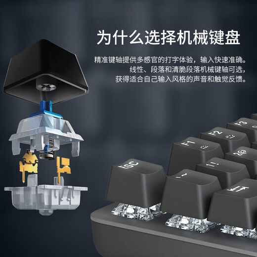 罗技（Logitech）G502Hero游戏鼠标 电竞有线鼠标 K845机械键盘 全尺寸办公游戏键盘 电竞游戏英雄联盟csgo键鼠套装 K845龙华红轴+G502Hero【键鼠套装】