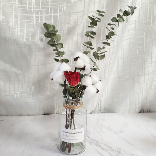 AIMAN dried flowers eucalyptus leaves Nordic style ins Nordic style small fresh living room ornaments diy home decoration ornaments SN Lover's grass a bunch without bottle 250g to dry