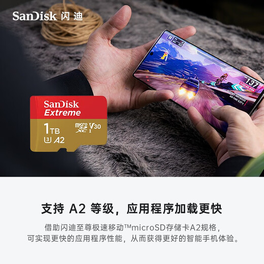 Sandisk (Sandisk) Hochgeschwindigkeitsspeicherkarte TF für Mobiltelefone DJI Drohnen Pocket3 Sportkamera Switch Dash Recorder Überwachungskamera V30 Memory Card 1 TB Lesen 190 MB/s GET 2.0 KARTENLESSE