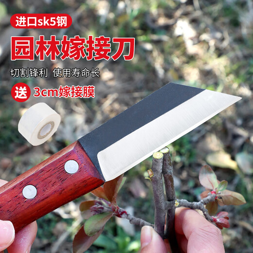 Otis grafting artifact grafting knife multifunctional handmade knife fruit tree thick tree grafting tree bud grafting knife gardening special tool knife conventional grafting knife
