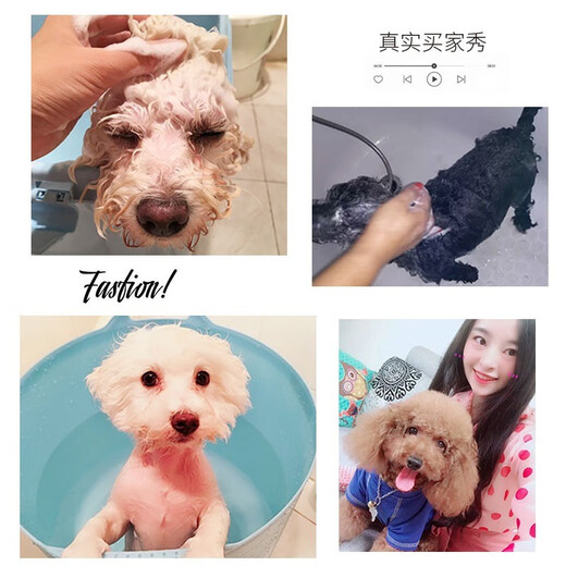 Hipidog Hundehäusche Sterilisation und Deodorisierung für lang anhaltende Duft Haustier Badebad Bichon Bär Teddy Granatapfel Katze Duschlotion [All Hunderasse] Haarschutz
