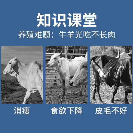 Animal husbandry Rumen Bao cattle and sheep rumen hormone fattening weight promotion growth stomach strengthening bulk fattening premix feed additive Rumen Bao 20Jin Jin equal to 0.5 kg, the whole barrel 10 bags