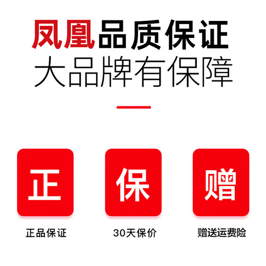 Phoenix (Phoenix) Kinder-Balance-Auto für Kinder von 1–3 Jahren, Allrad-Balance-Auto ohne Pedale, einjähriges Baby-Twist-Auto, Kinder-Schiebeauto, High-End-Grau | Musik und Beleuchtung (für 1-3 Jahre)