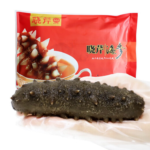 Xiaoqin Dalian frozen ready-to-eat sea cucumber 1000g 6-12 pieces Liao sea cucumber seafood