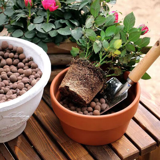 Ceramsite universal bottom ceramsite flower pot special flower pot pavement terracotta planting soil orchid succulent nutritious soil 20 liters of gardening ceramsite (medium particle size 12-16mm)