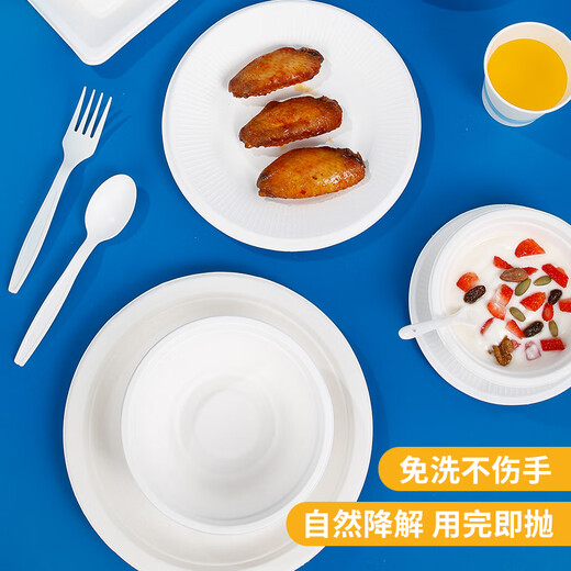 SHUANG YU disposable plates 9 inches * 30 biodegradable paper plates paper plates waterproof and oil-proof barbecue discs picnic supplies