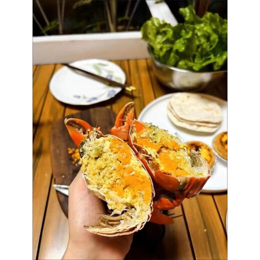 
[Crab pond straight hair - next day delivery in many places] Guangdong head hand butter crab ointment oil crab fresh live crab blue crab extra large 1 head hand butter crab (about 7 taels)