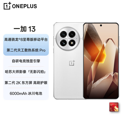 一加 13 12GB+256GB 白露晨曦 国家补贴 高通骁龙®8至尊版 6000mAh 冰川电池 oppo智能AI游戏5G手机