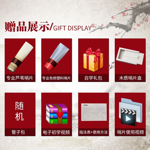管艺 管子乐器 乌木管子乐器筚篥催泪管成人初学专业演奏款 初学D调【塑料+芦苇哨片】
