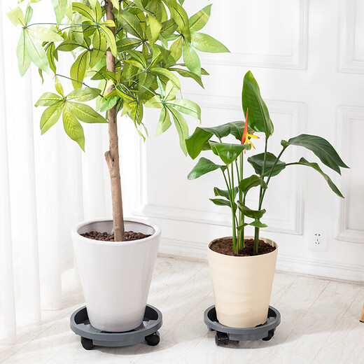 漫生活 花托万向轮花盆托盘 外径400mm内径365mm加厚移动底盘塑料花盆托