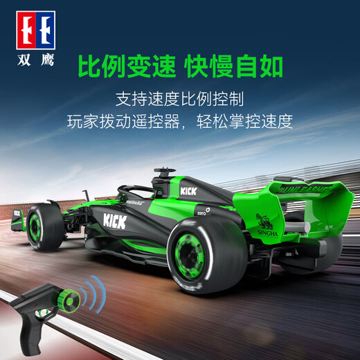 DOUBLE E双鹰遥控玩具跑车F1索伯车队赛车C44成人高难度男孩玩具礼物收藏 E733-001绿色