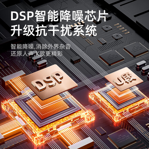 SANSUI wireless microphone, universal, professional-grade U-segment karaoke special conference host, live karaoke outdoor square dance, handheld portable performance home ktv singing rechargeable microphone, flagship single microphone, performance-level universal microphone, one to one, true U-segment wireless charging