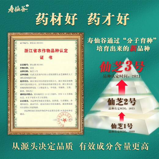 
Shouxiangu Xianzhi No. 3, Gentle Lucidum Spore Powder Tablets, Enhance immunity, High-quality tonic gift box, Gift gift 0.85g/piece*60/bottle*2 bottles (gift box)