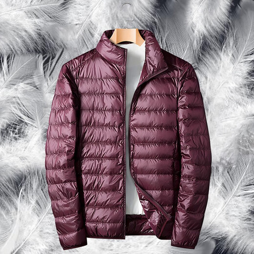 Woodpecker Lightweight Down Jacket Men's Short Winter Jacket Men's New Ultra-Light Casual Young and Middle-aged White Duck 16050 Black (Stand Collar) XL (140Jin Jin is equal to 0.5kg -160Jin Jin is equal to 0.5kg)