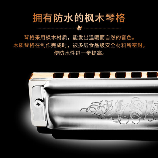 SEYDEL德国进口SEYDEL赛德 十孔10蓝调成人口琴 1847 CLASSIC 10孔D调