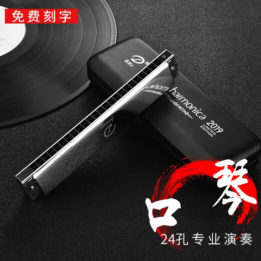 追梦人德国进口音簧天鹅2409复音口琴24孔专业演奏高级初学者学生入门 降E调