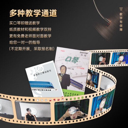 东方鼎（EAST TOP）EASTTOP演奏者12孔48音半音阶口琴铝格灰色EMP-12