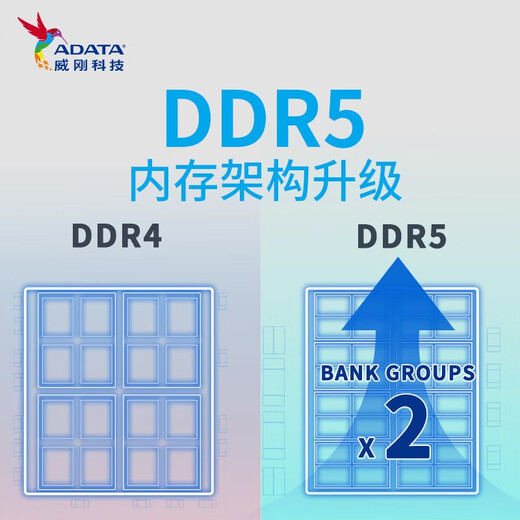 ADATA Colorful Colors Series DDR5 Desktop Memory 5600 Frequency Original Granules DDR5 Memory Bar Desktop Host Upgrade Special Adapted to Black Myth Wukong Colorful Colors 5600 16GB PC