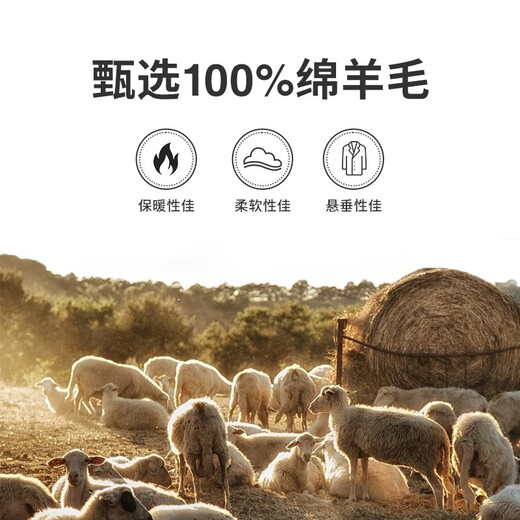 Navigare Italian small sailing pure wool jacket men's autumn and winter warm coat lapel fashion men's short coat caramel color XL /52