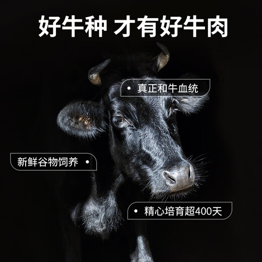 Chunxian Four Seasons