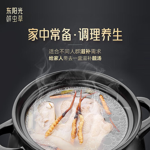 Dongyangguang Organic Cordyceps sinensis 3-4 Wurzeln/g Neue getrocknete Cordyceps Nourishing Gift Box Cordyceps Ergänzungen für Eltern und Älteste 10 Gramm 2-3 Wurzeln/G [Sperren frisches Gras, High-End-Geschenk]