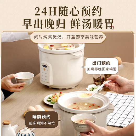 TONZE electric stew pot, porridge pot, soup pot, stew pot, baby electric stew pot, porridge health pot, quick stew, direct stew white porcelain pot DGD30K22GC 3 liters