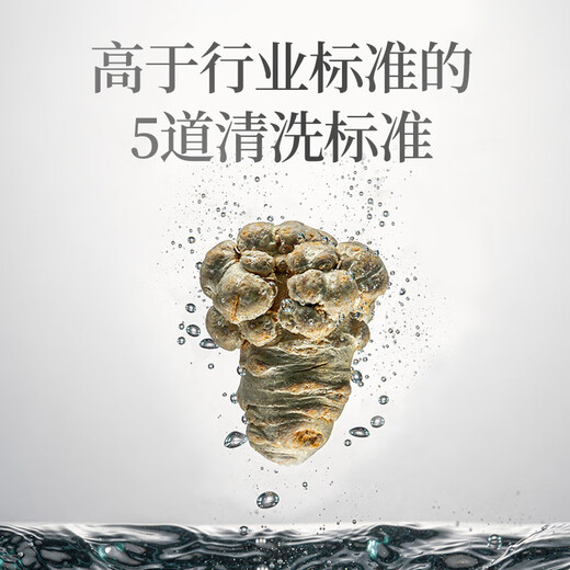 Yunnan Baiyao Panax Notoginseng Very Fine Powder 50g/bottle to disperse blood stasis and stop bleeding, reduce swelling and relieve pain, traumatic bleeding, swelling and pain from falls