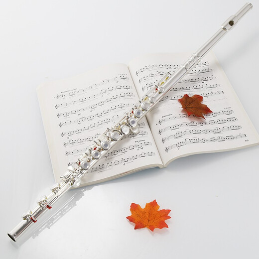 
ROFFEE flute instrument 17 open and closed hole dual-purpose silver-plated flute students beginners playing elbow flute instrument 17 hole C-tuning white copper open and closed hole dual-purpose 505 college level
