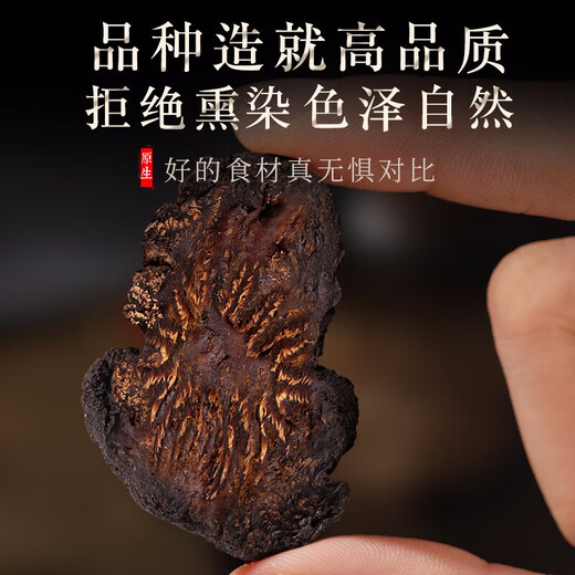 福东海 肉苁蓉100克罐装 内蒙古阿拉善大芸鲜干片 可搭配淫羊藿泡酒料