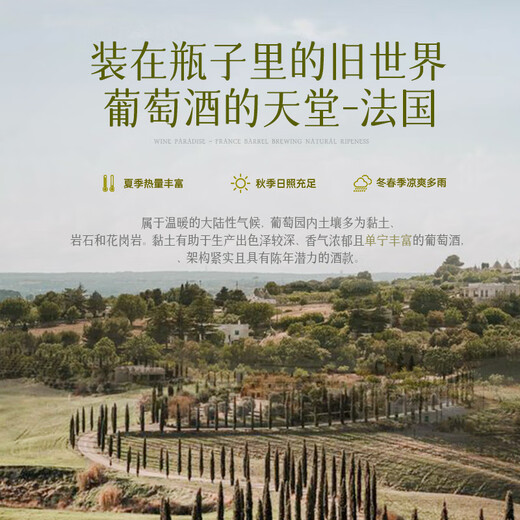 拉蒙塔尼法国进口半甜白葡萄酒12.5度微醺果酒礼品七夕送礼 原酒进口750ML