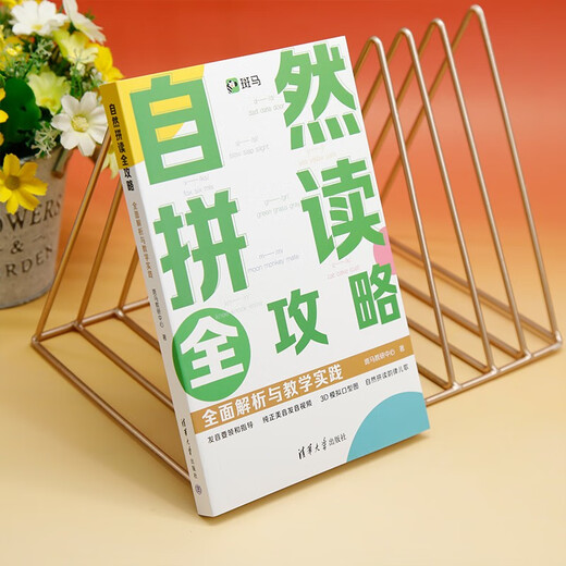 自然拼读全攻略：全面解析与教学实践