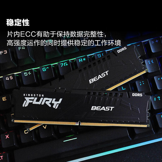 Kingston FURY 32GB (16G 2) Set DDR5 5600 Desktop Memory Beast Beast Series Hacker God