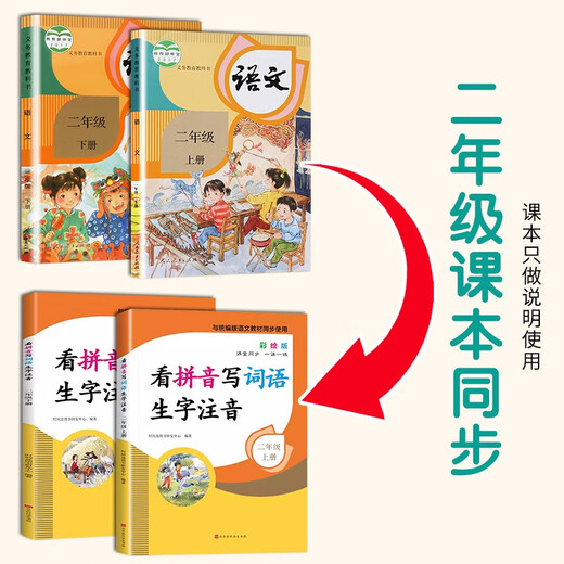 【京仓速发 明日达】小学二年级上册+下册专项训练（全2册）看拼音写词语生字注音14066**0