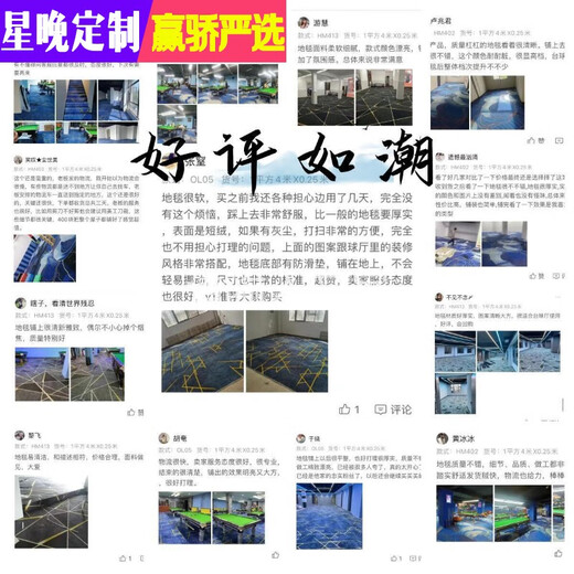 Xingwan nylon billiard hall full floor flame retardant billiard room special commercial carpet fireproof thickened wear-resistant large area full floor Z501 nylon 450g-5.5mm