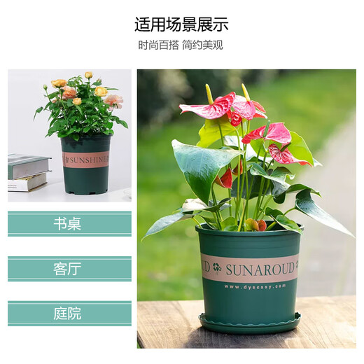 墨斗鱼花盆加仑盆加厚高款2加仑*3多肉绿萝月季盆栽树脂塑料简约带托盘